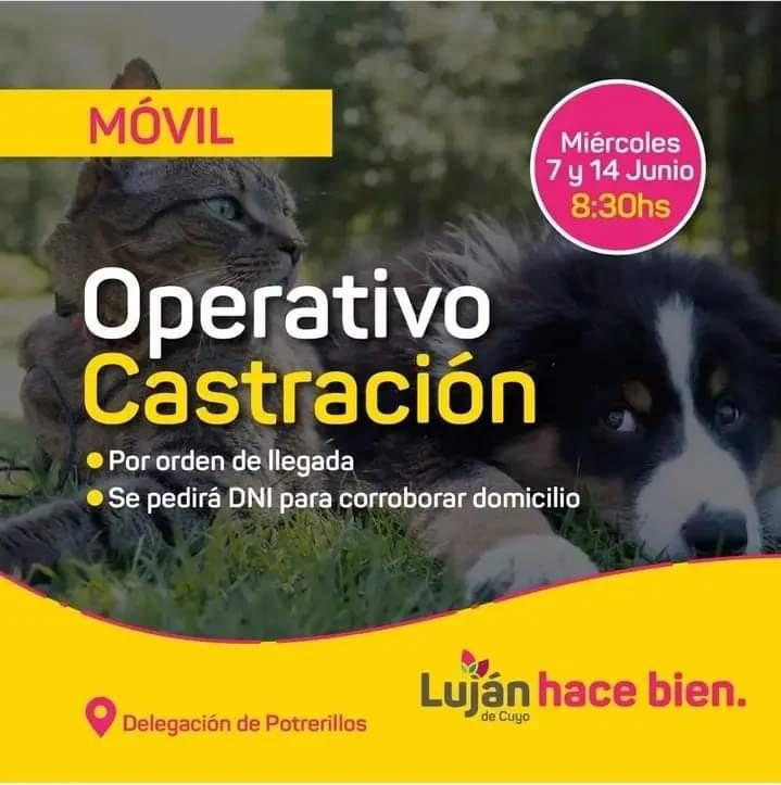 FB_IMG_1685999945638