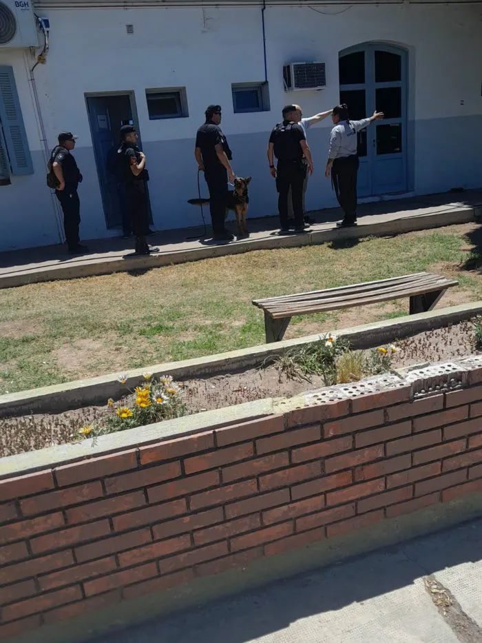 WhatsApp-Image-2024-11-12-at-20.03.29-700x933