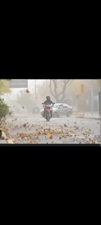 Screenshot_20241115_091919_WhatsApp