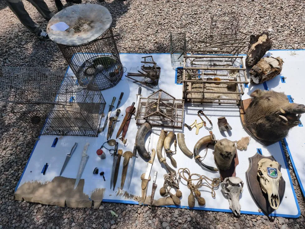 WhatsApp-Image-2026-01-14-at-08.35.32-980x735