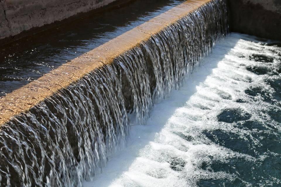 WhatsApp Image 2023-05-18 at 11.05.11 AM