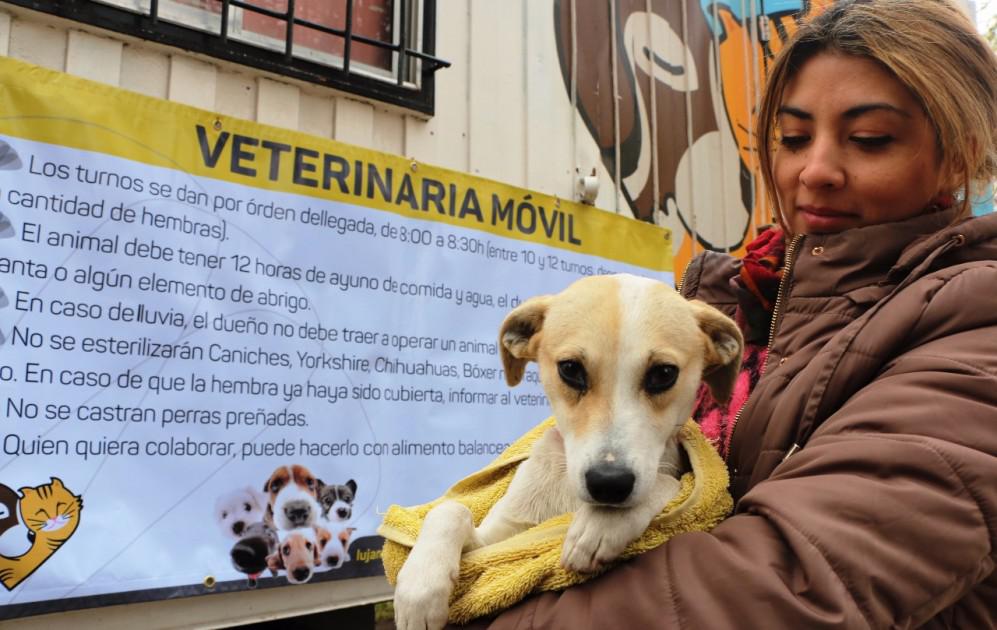 veterinaria-movil_630_1140