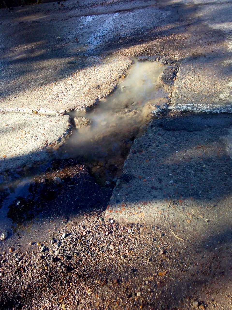 IMG-20240417-WA0021